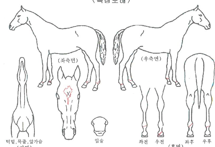 �޴��ͺ��� ����,���,�޸�,�λ�,�ٸ��� Ư¡����