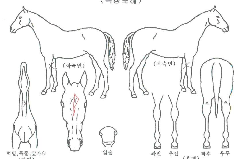 ������ ����,���,�޸�,�λ�,�ٸ��� Ư¡����