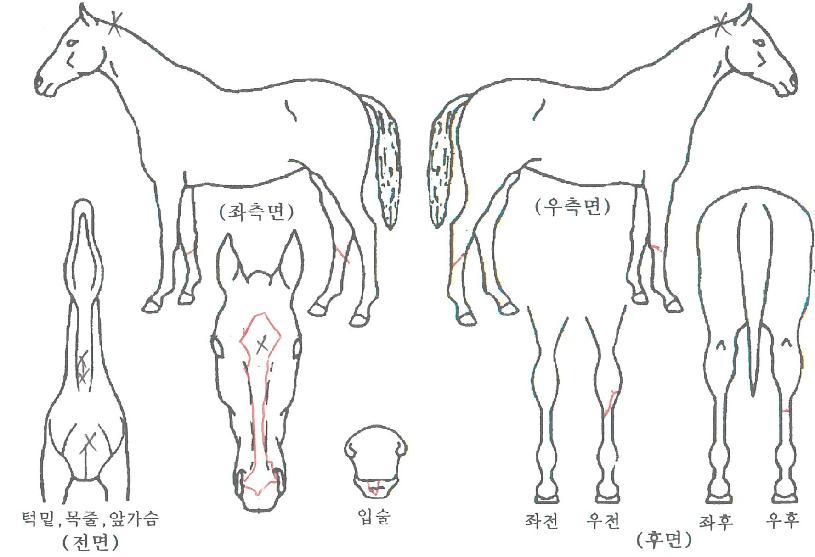 ������������ ����,���,�޸�,�λ�,�ٸ��� Ư¡����