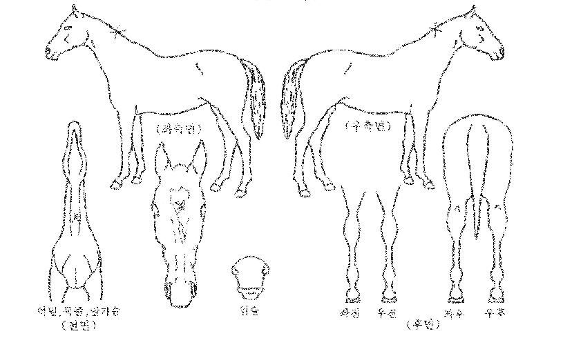 �������� ����,���,�޸�,�λ�,�ٸ��� Ư¡����