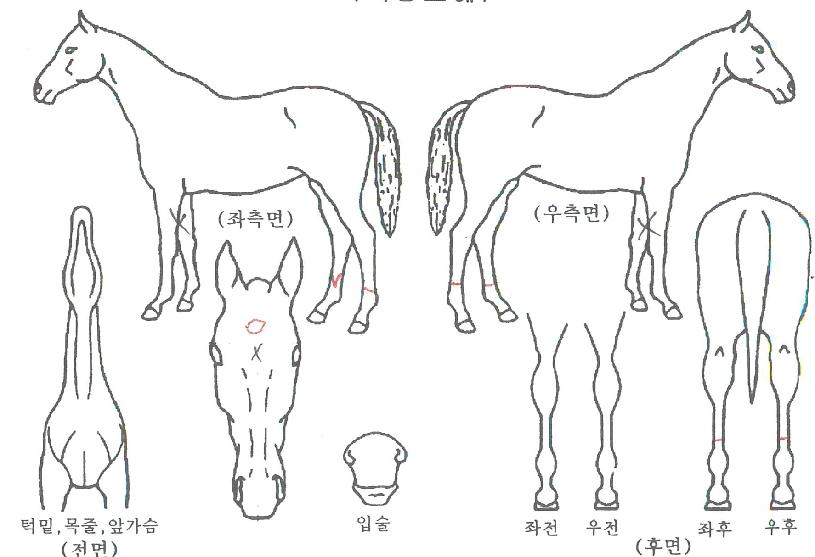 ������ ����,���,�޸�,�λ�,�ٸ��� Ư¡����