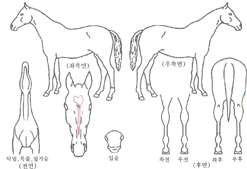 ������ƾ�� ����,���,�޸�,�λ�,�ٸ��� Ư¡����