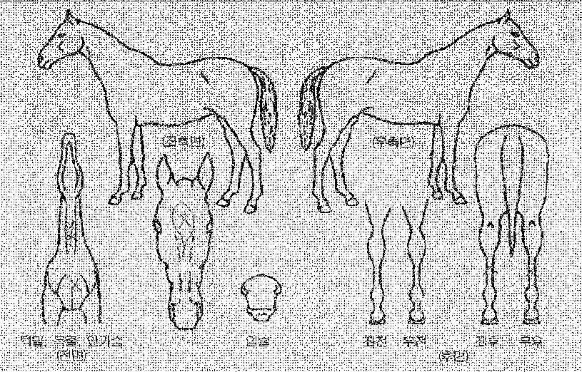 ��緯���� ����,���,�޸�,�λ�,�ٸ��� Ư¡����