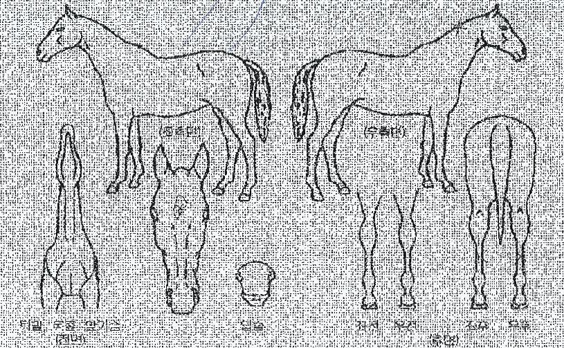 �����̽��� ����,���,�޸�,�λ�,�ٸ��� Ư¡����