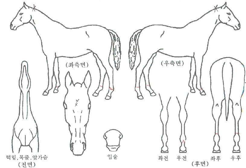 ������ũ�� ����,���,�޸�,�λ�,�ٸ��� Ư¡����