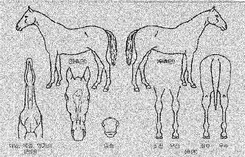 �������� ����,���,�޸�,�λ�,�ٸ��� Ư¡����