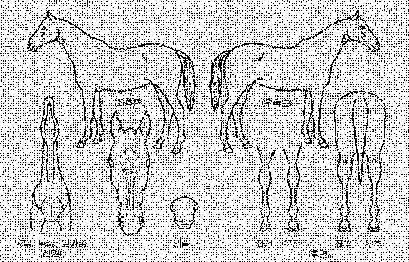 ������ ����,���,�޸�,�λ�,�ٸ��� Ư¡����