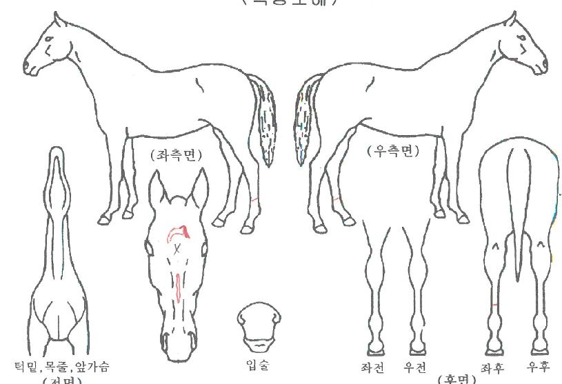 ����Ʈ��ũ�� ����,���,�޸�,�λ�,�ٸ��� Ư¡����