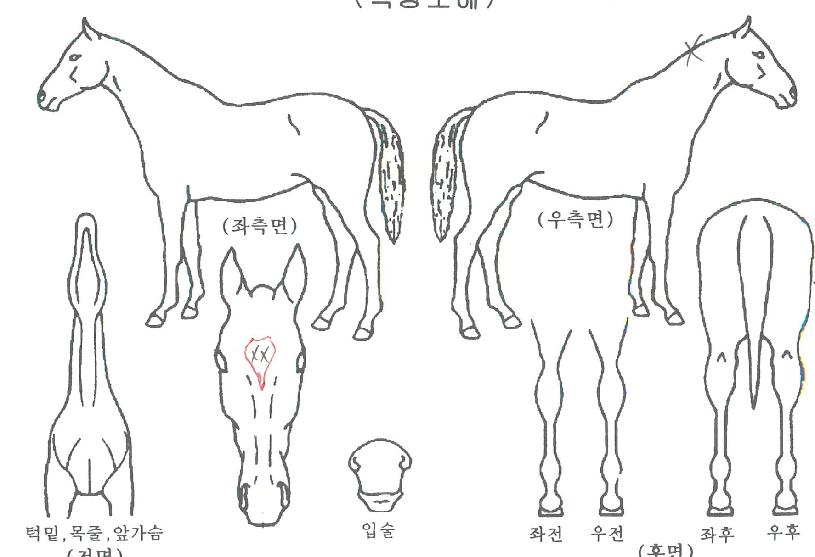 �������� ����,���,�޸�,�λ�,�ٸ��� Ư¡����