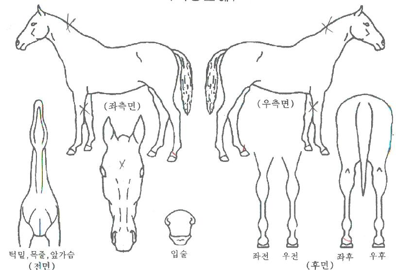 °ü¾ÇºñµåÀÇ Ãø¸é,¿ì¸é,µÞ¸é,µÎ»ó,´Ù¸®ÀÇ Æ¯Â¡µµÇØ