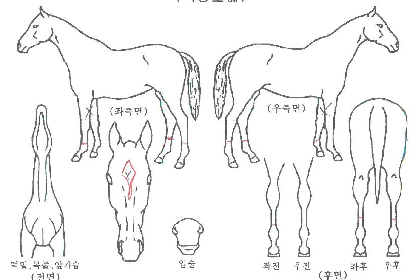 ����Ʈ������ ����,���,�޸�,�λ�,�ٸ��� Ư¡����