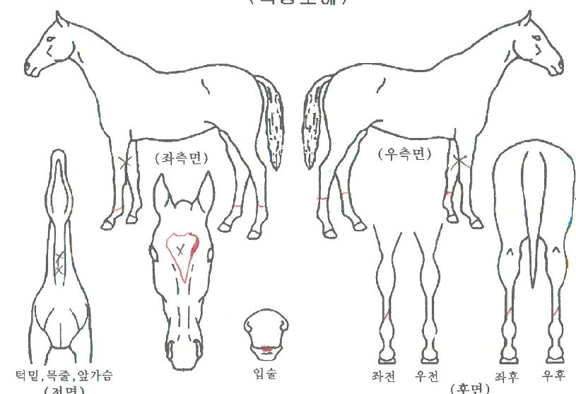 ť�ǵ������� ����,���,�޸�,�λ�,�ٸ��� Ư¡����