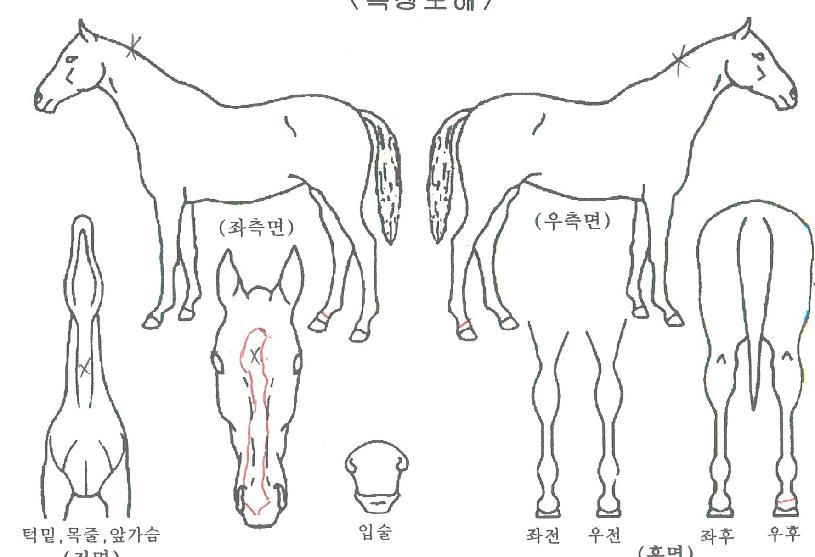 �ö�������� ����,���,�޸�,�λ�,�ٸ��� Ư¡����