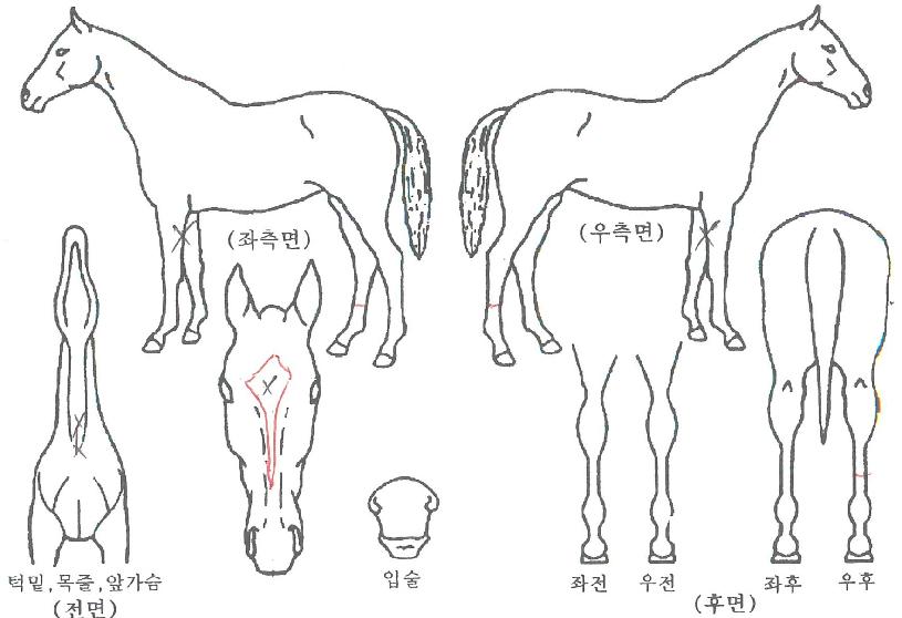 �̽��͸����� ����,���,�޸�,�λ�,�ٸ��� Ư¡����