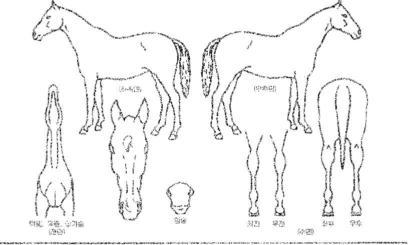 �������� ����,���,�޸�,�λ�,�ٸ��� Ư¡����