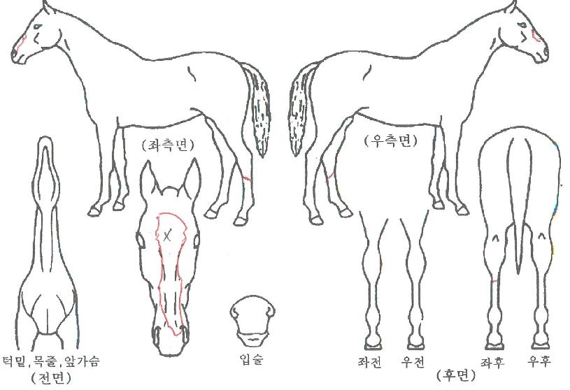 ���������� ����,���,�޸�,�λ�,�ٸ��� Ư¡����