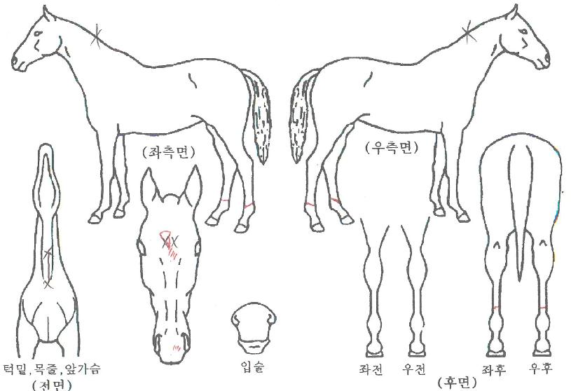 Áö°ø¹«ÆÐÀÇ Ãø¸é,¿ì¸é,µÞ¸é,µÎ»ó,´Ù¸®ÀÇ Æ¯Â¡µµÇØ