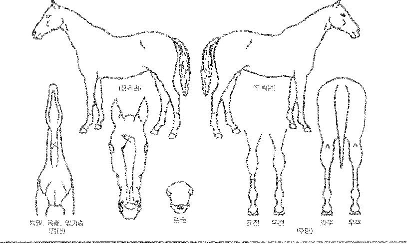 ��ƿ���� ����,���,�޸�,�λ�,�ٸ��� Ư¡����