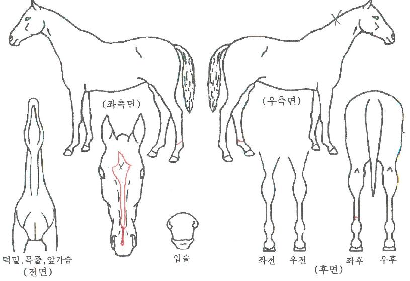 ������è���� ����,���,�޸�,�λ�,�ٸ��� Ư¡����