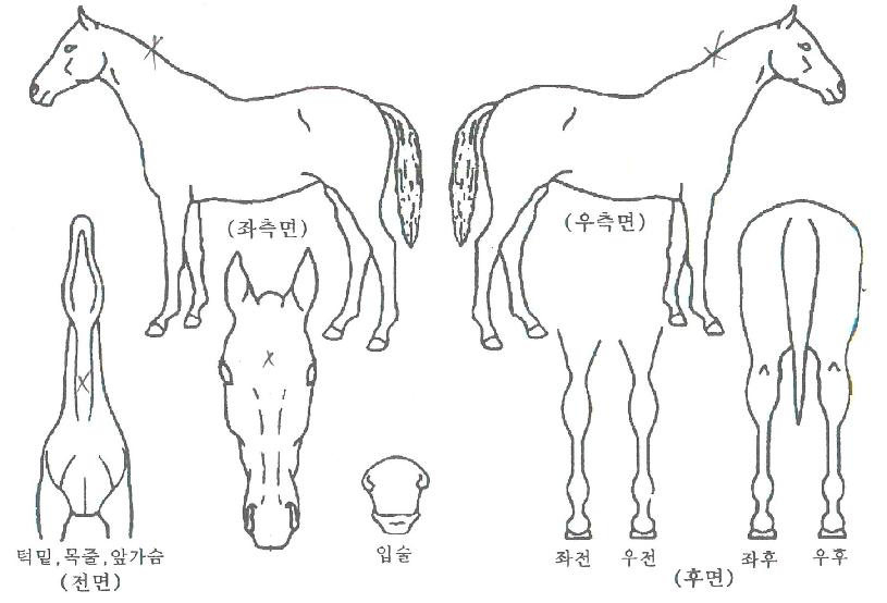 ����Ƚ����� ����,���,�޸�,�λ�,�ٸ��� Ư¡����