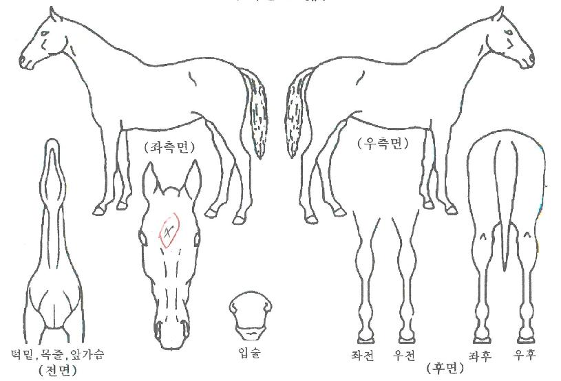 ����Ŭ������ ����,���,�޸�,�λ�,�ٸ��� Ư¡����