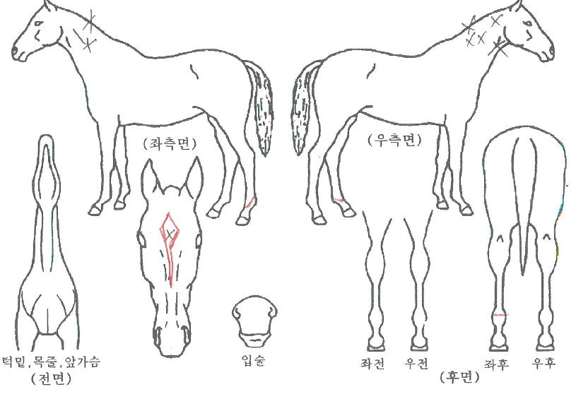 ��庸���� ����,���,�޸�,�λ�,�ٸ��� Ư¡����