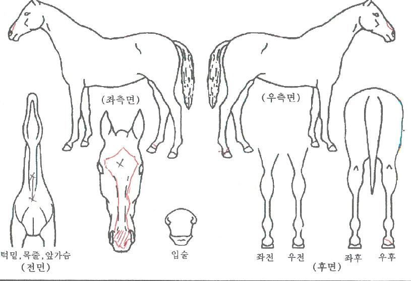 �������� ����,���,�޸�,�λ�,�ٸ��� Ư¡����