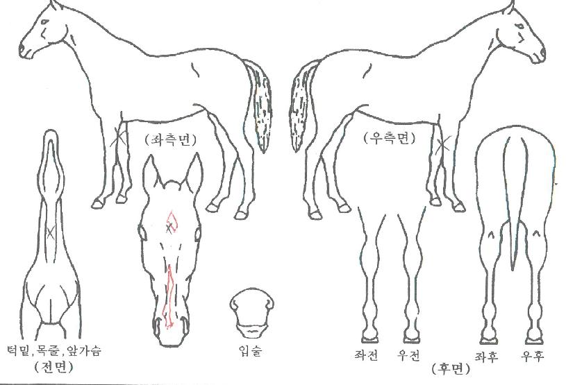 �Ʒ��������� ����,���,�޸�,�λ�,�ٸ��� Ư¡����