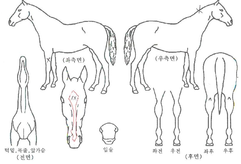 ���������� ����,���,�޸�,�λ�,�ٸ��� Ư¡����