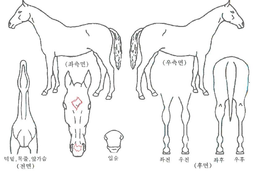 ä�ÿ��̽��� ����,���,�޸�,�λ�,�ٸ��� Ư¡����