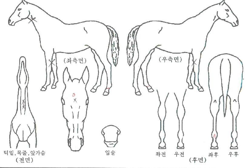 ��ǳ������ ����,���,�޸�,�λ�,�ٸ��� Ư¡����