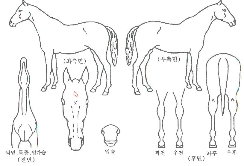 ���������� ����,���,�޸�,�λ�,�ٸ��� Ư¡����