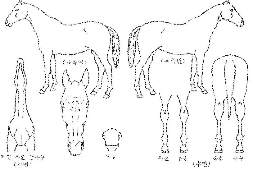 ȭ���� ����,���,�޸�,�λ�,�ٸ��� Ư¡����