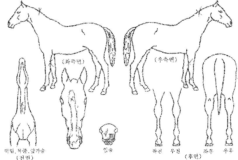 ��ġ������ ����,���,�޸�,�λ�,�ٸ��� Ư¡����