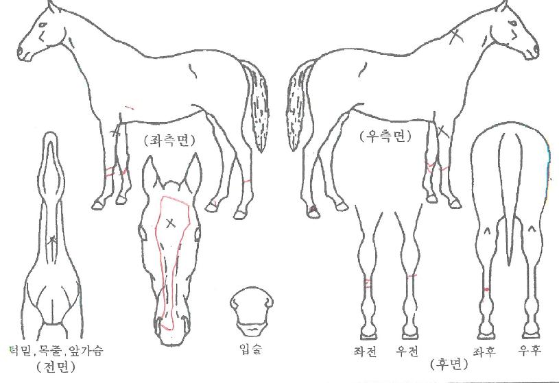 �������� ����,���,�޸�,�λ�,�ٸ��� Ư¡����