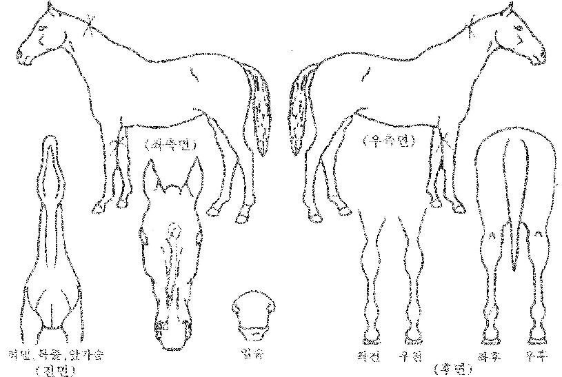 �̽����� ����,���,�޸�,�λ�,�ٸ��� Ư¡����