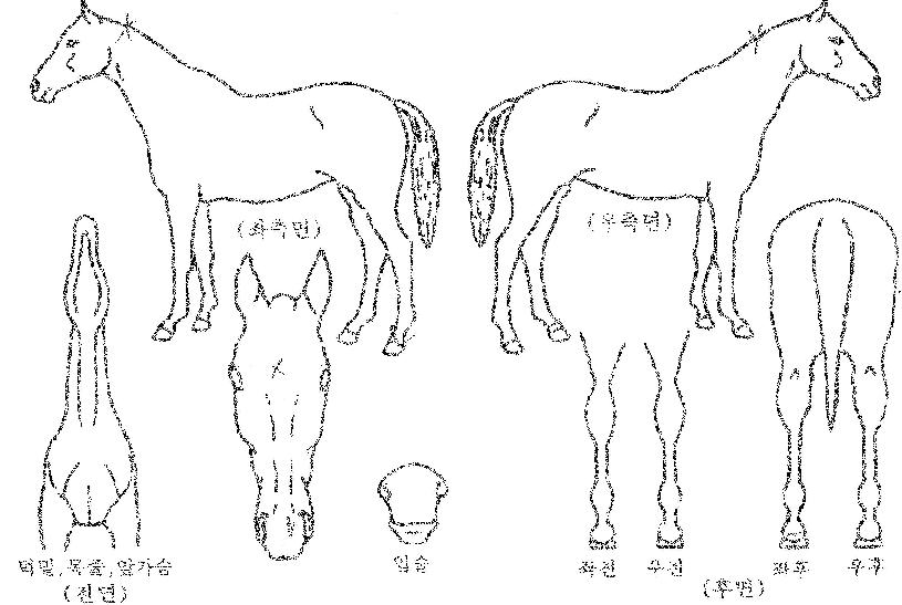 �ƽ������� ����,���,�޸�,�λ�,�ٸ��� Ư¡����