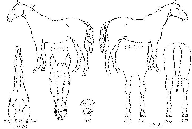 ���丮������ ����,���,�޸�,�λ�,�ٸ��� Ư¡����