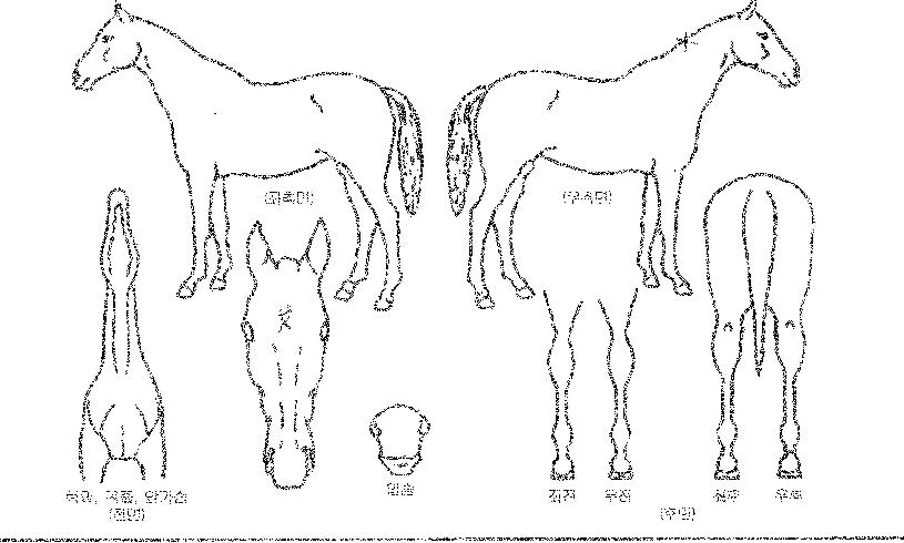 �ΰ潺�丮�� ����,���,�޸�,�λ�,�ٸ��� Ư¡����