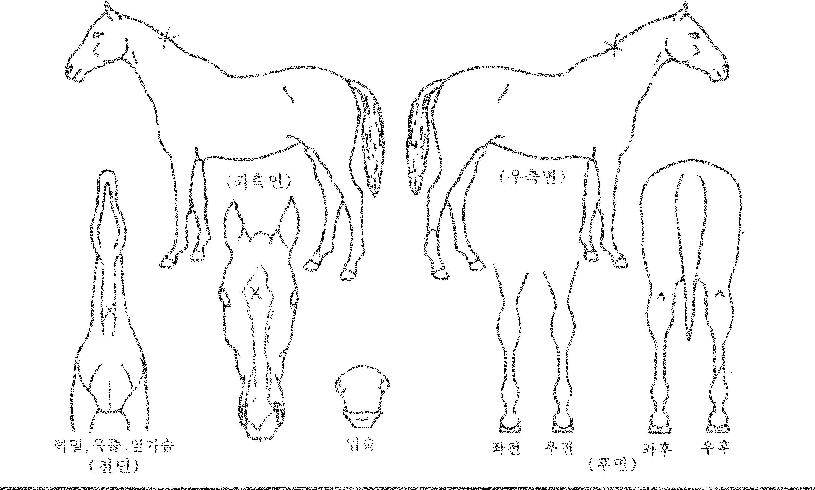 ��Ƽ������ ����,���,�޸�,�λ�,�ٸ��� Ư¡����