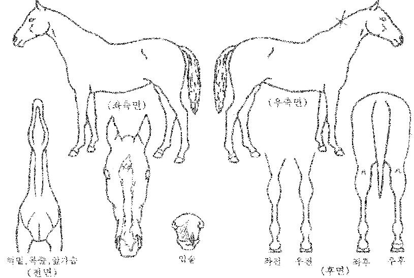 ������ũ�ص��� ����,���,�޸�,�λ�,�ٸ��� Ư¡����