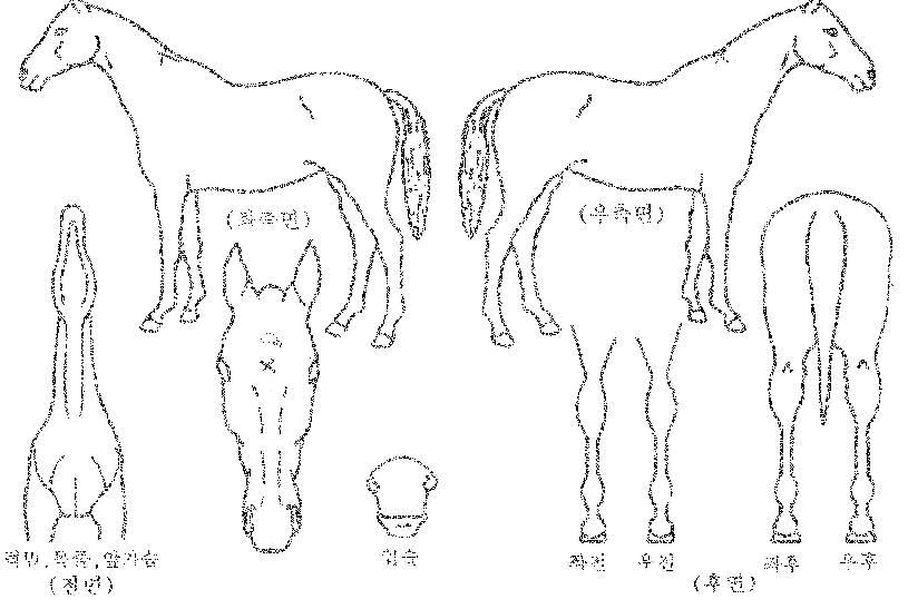 Ǯ������ ����,���,�޸�,�λ�,�ٸ��� Ư¡����