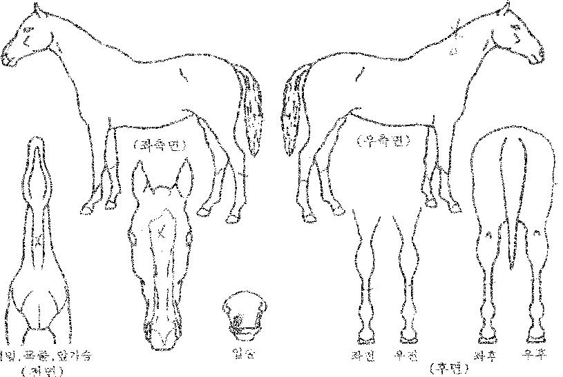 �ݺ���� ����,���,�޸�,�λ�,�ٸ��� Ư¡����