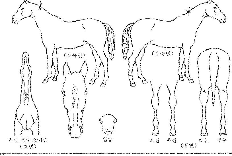 ����ó���� ����,���,�޸�,�λ�,�ٸ��� Ư¡����