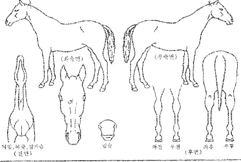 Ŭ���ö���� ����,���,�޸�,�λ�,�ٸ��� Ư¡����