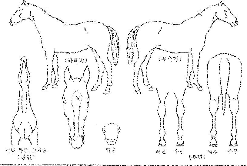 ¹®ÇÐÀÇÀεð¾ðÀÚ¸¶ÀÇ Ãø¸é,¿ì¸é,µÞ¸é,µÎ»ó,´Ù¸®ÀÇ Æ¯Â¡µµÇØ