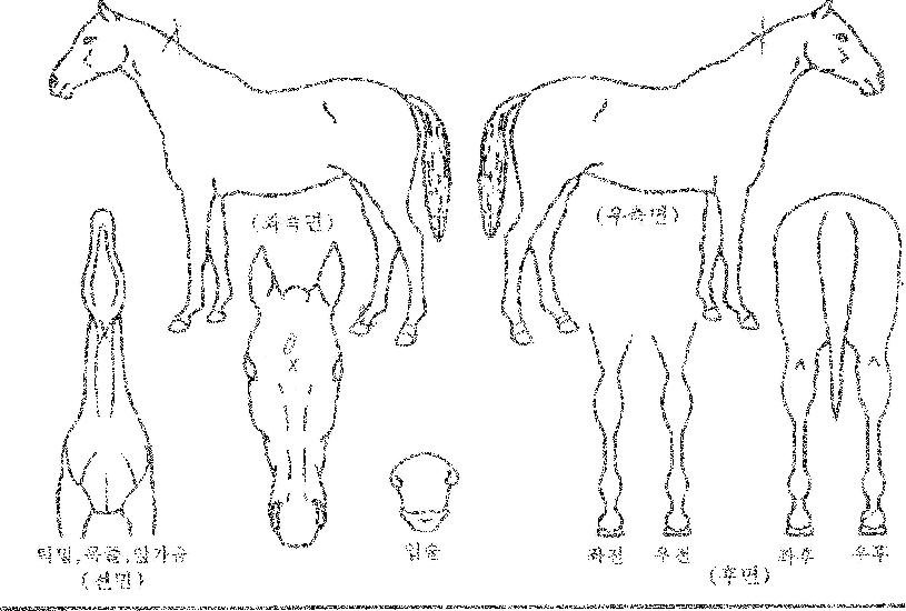 ��ũ�̴Ͻ����� ����,���,�޸�,�λ�,�ٸ��� Ư¡����