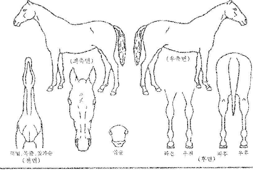 �÷��ù̽��� ����,���,�޸�,�λ�,�ٸ��� Ư¡����