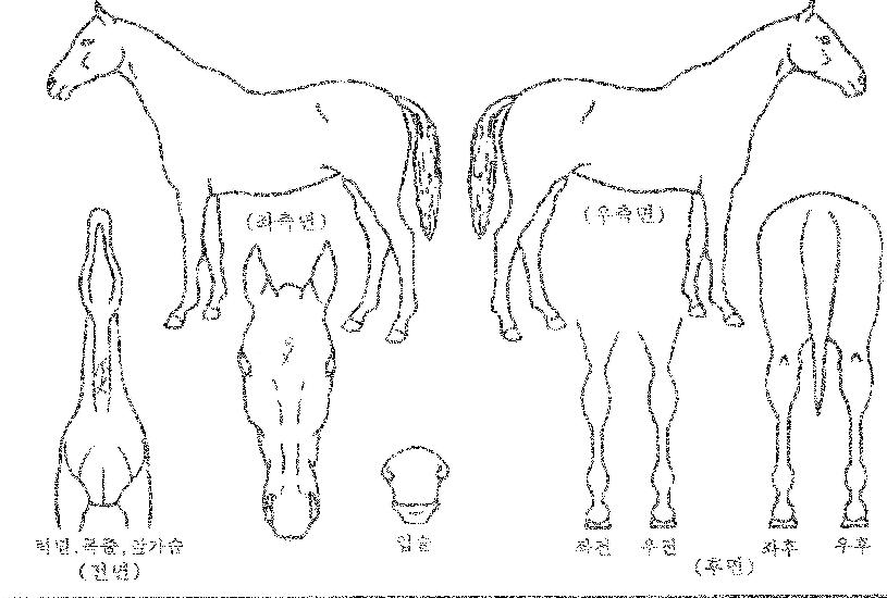 ���̽������� ����,���,�޸�,�λ�,�ٸ��� Ư¡����