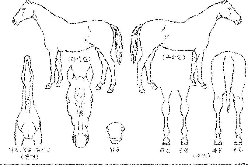 ��Ű����� ����,���,�޸�,�λ�,�ٸ��� Ư¡����